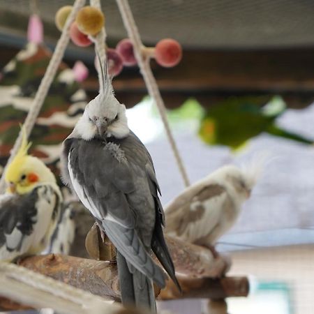 Maerchencamping Stuhr Esterno foto