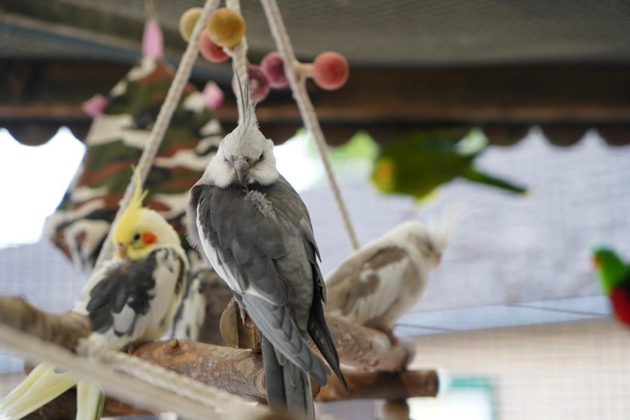 Maerchencamping Stuhr Esterno foto